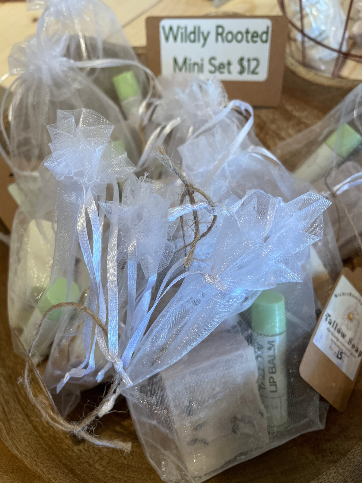 Wildly rooted mini set