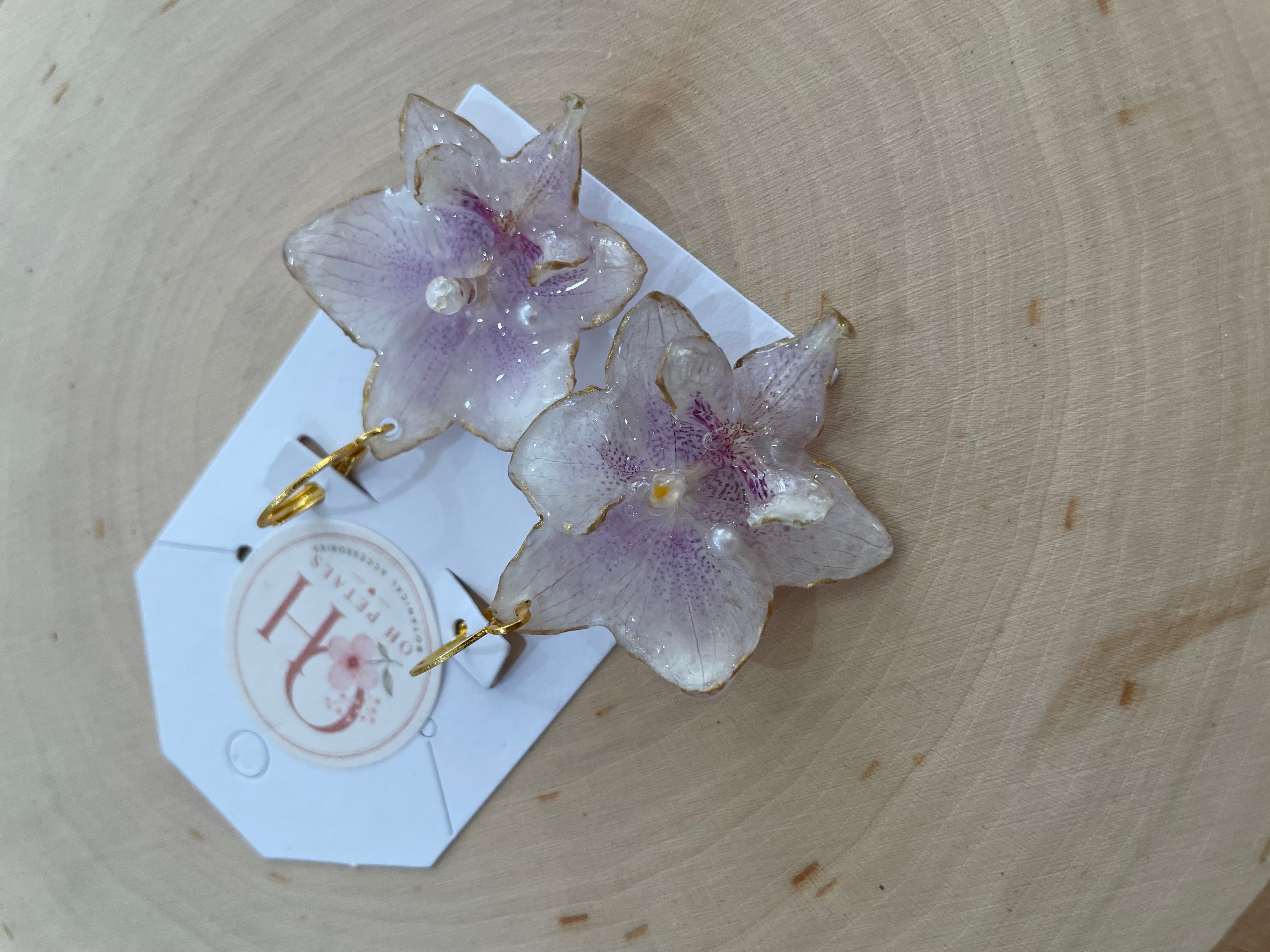 Oh petals Real orchid earrings