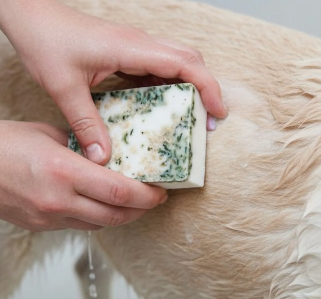 Oat & Paw Dog Shampoo Bar